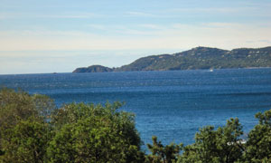 Littoral